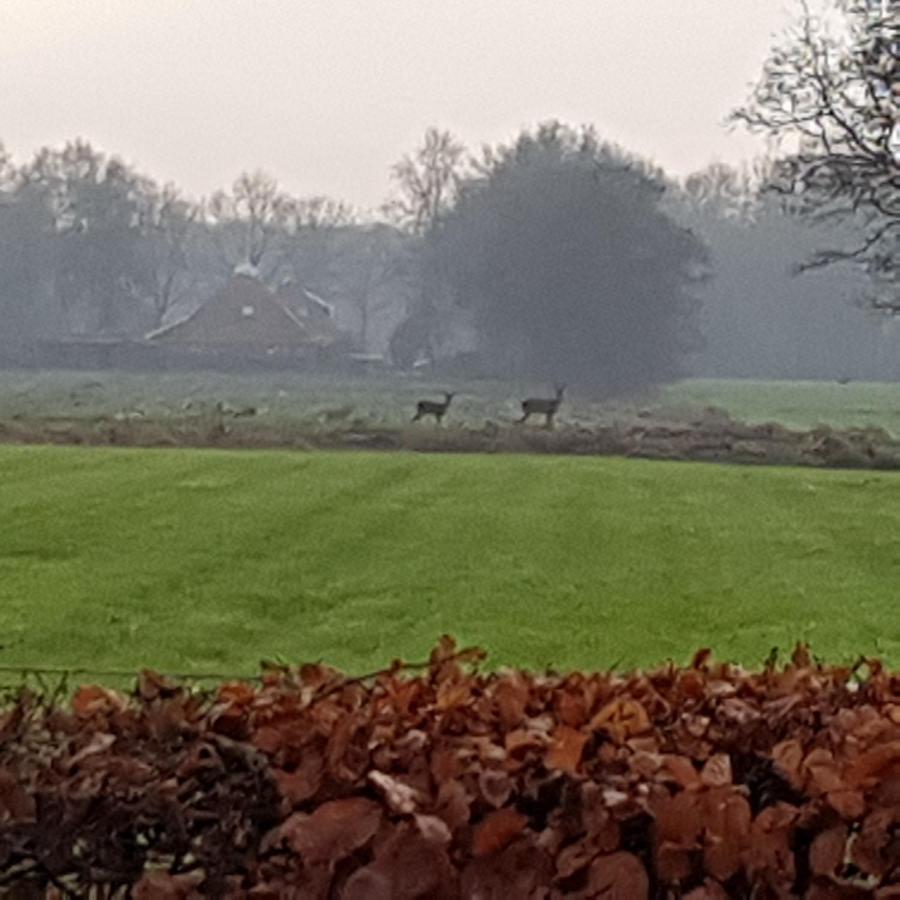 B&B Op De Sing-Sang Jonkersland Exteriör bild